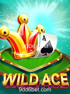 Descubra o Mundo Empolgante de WildAce